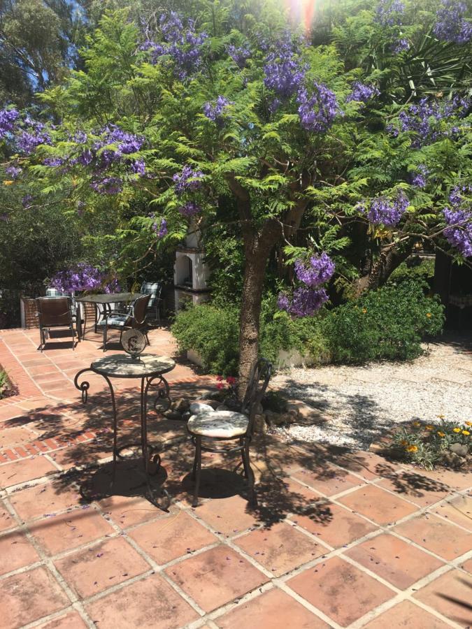 Finca El Rio, The Studio Self Catering With Pool And Hydrotherapy Jacuzzi Set In Beautiful Gardens, Guaro Esterno foto