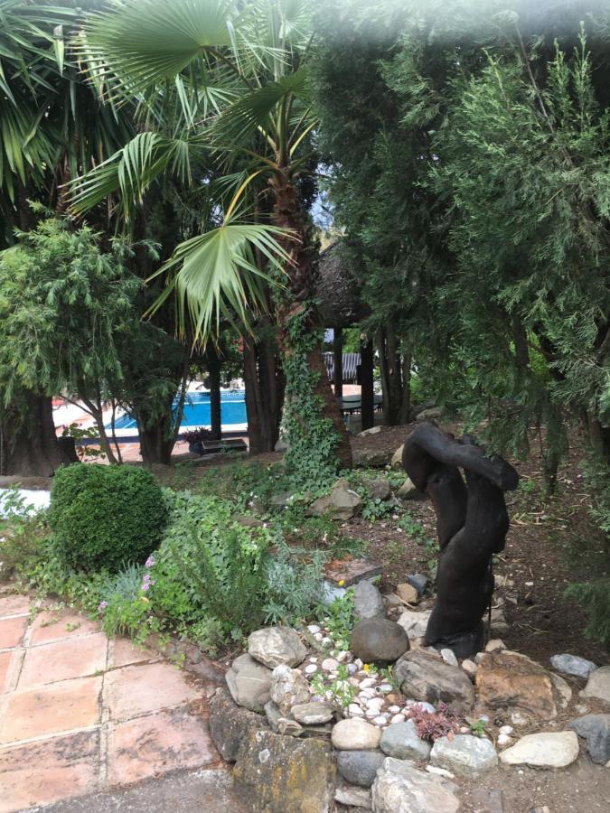 Finca El Rio, The Studio Self Catering With Pool And Hydrotherapy Jacuzzi Set In Beautiful Gardens, Guaro Esterno foto